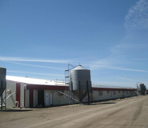 Canada Packers hog production exterior.