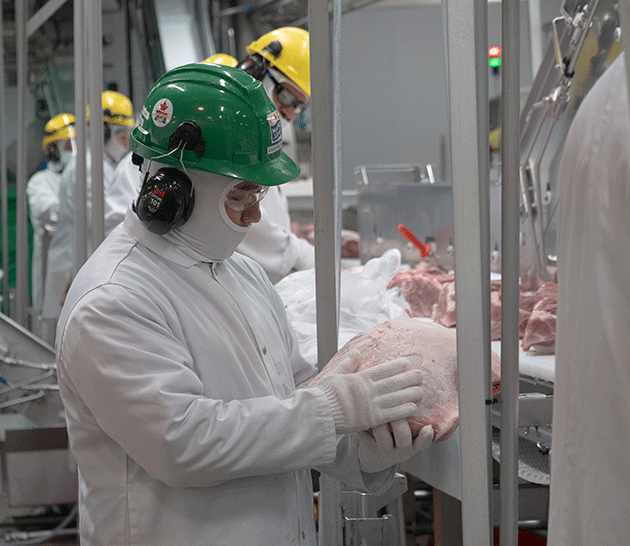 Team Member inspecting pork.